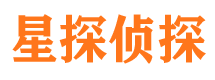 泰宁市调查公司